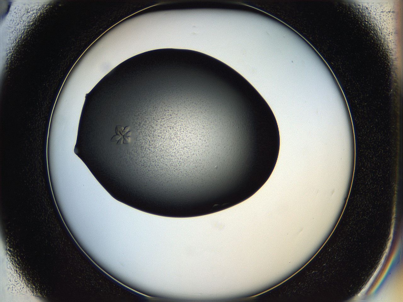 05hd_D3_ImagerDefaults_7.jpg