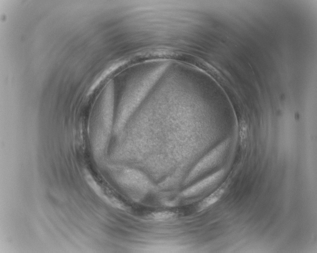 X0000055070158200508232338.png