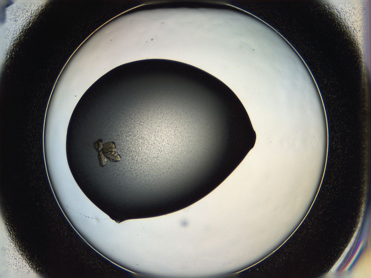 05hd_D4_ImagerDefaults_7.jpg