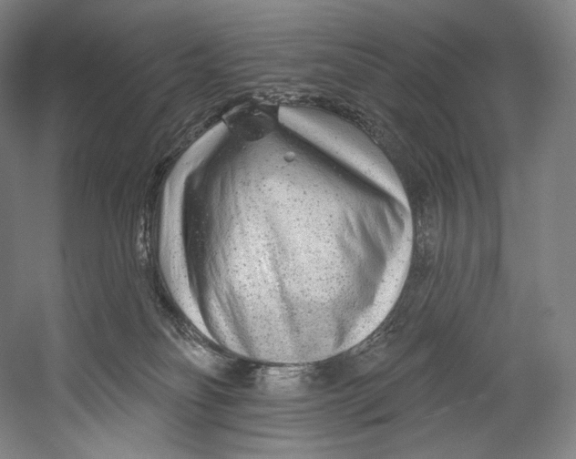 X0000055210134200508301332.png