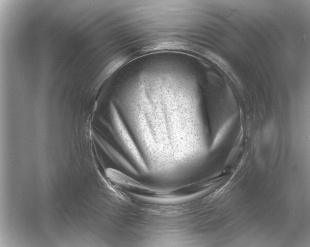 X0000054301241200508042302.png