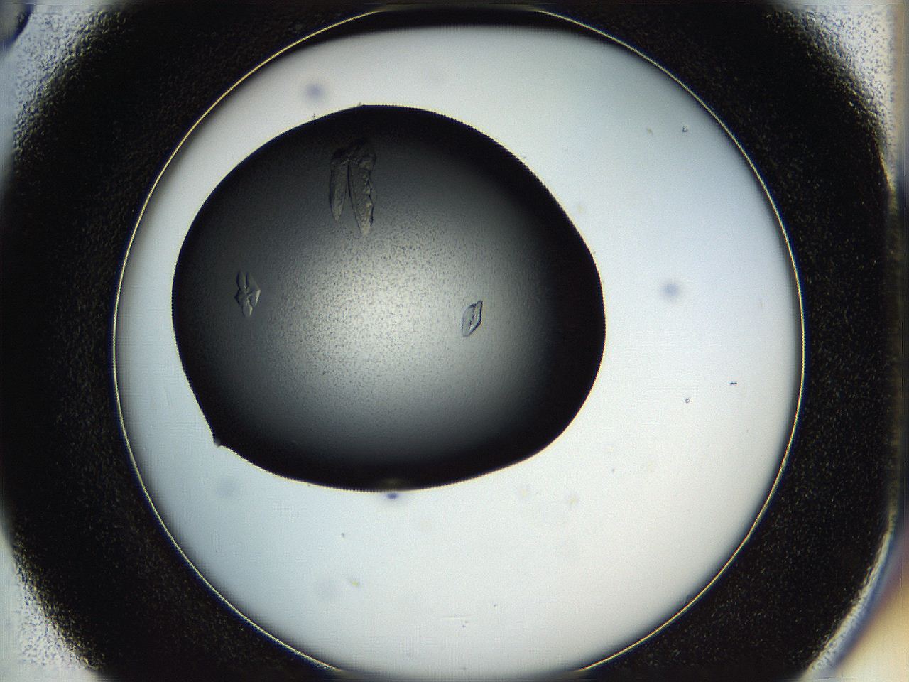 05hd_D5_ImagerDefaults_7.jpg