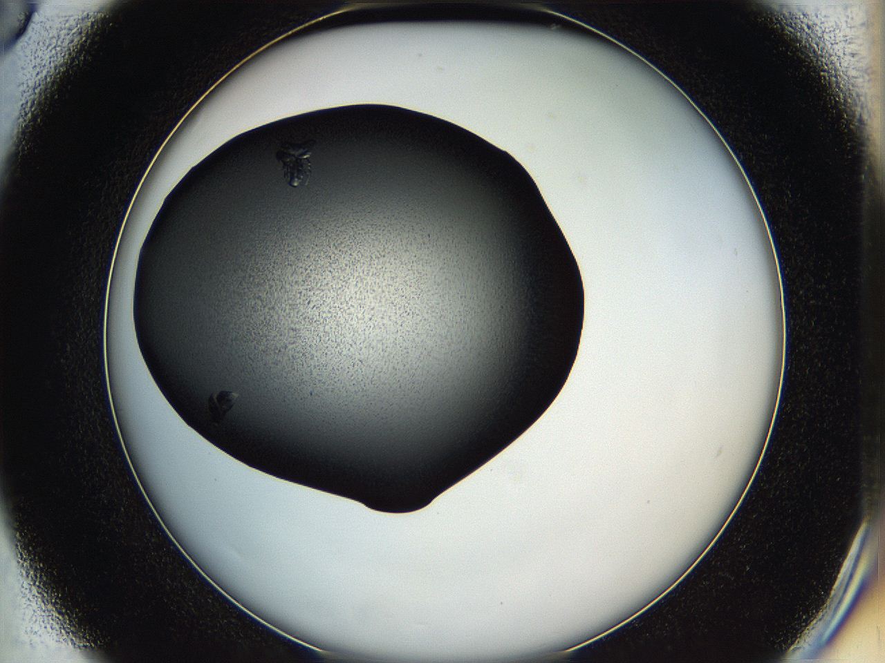 05hd_D6_ImagerDefaults_7.jpg