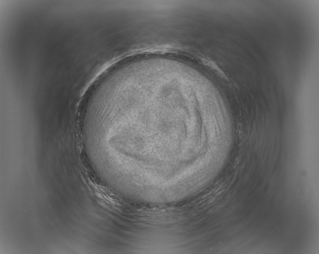 X0000055211256200508301312.png