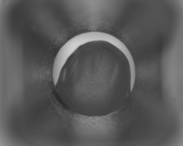 X0000051110031200507141808.png