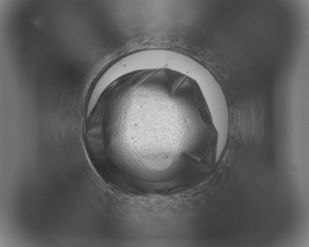 X0000052710003200508022323.png
