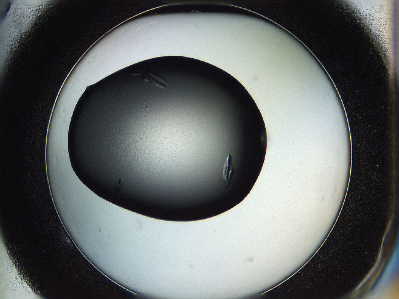 05hd_E5_ImagerDefaults_8.jpg