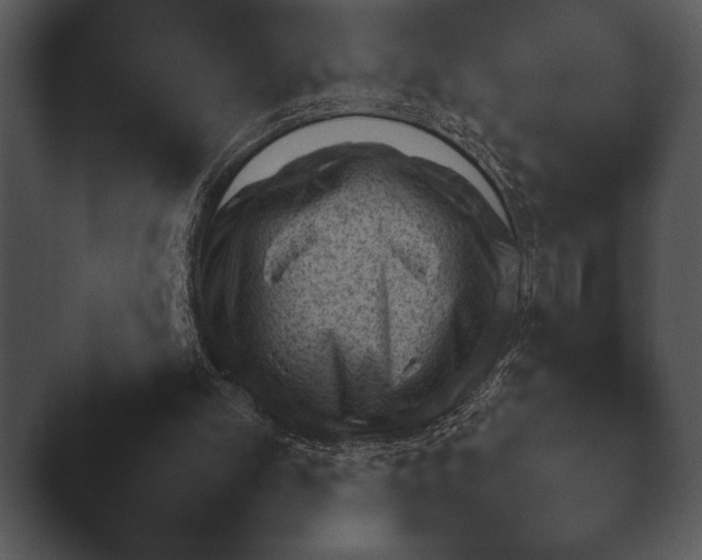 X0000044230101200501101648.png