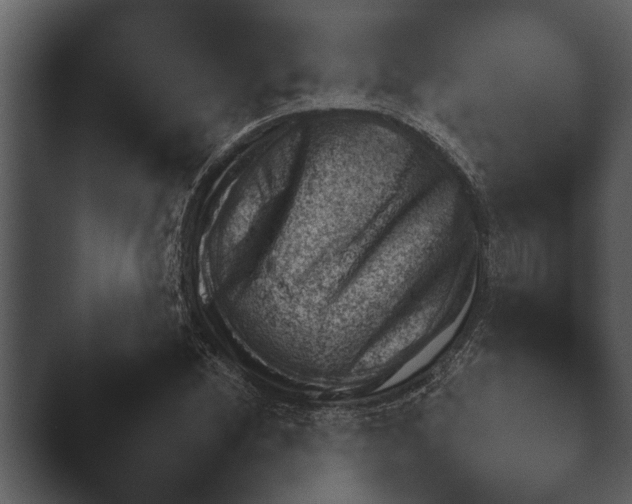 X0000044231212200501101629.png