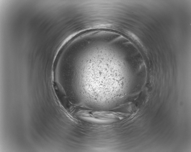 X0000054301324200508042300.png
