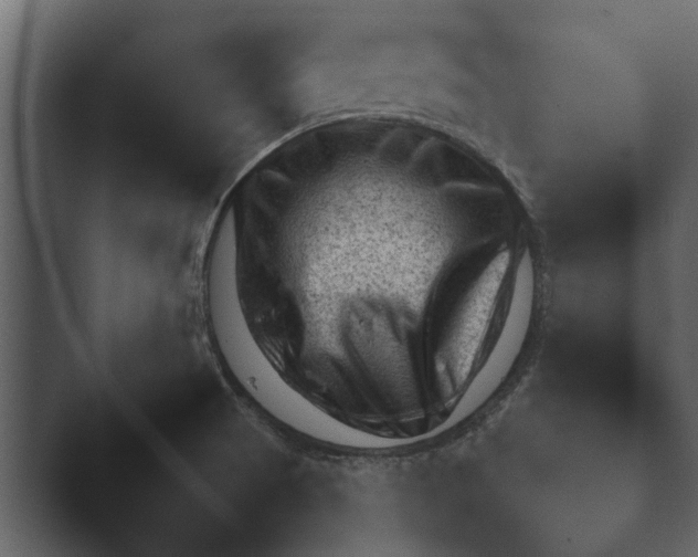 X0000044231521200501101625.png