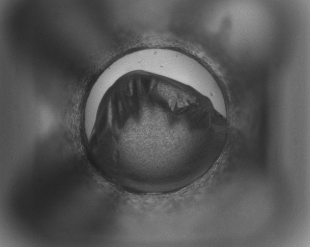 X0000045460009200502081431.png
