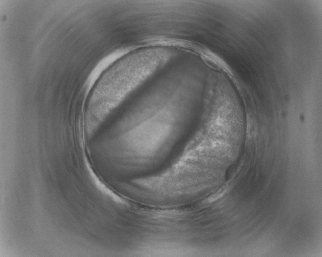 X0000054171247200508101751.png