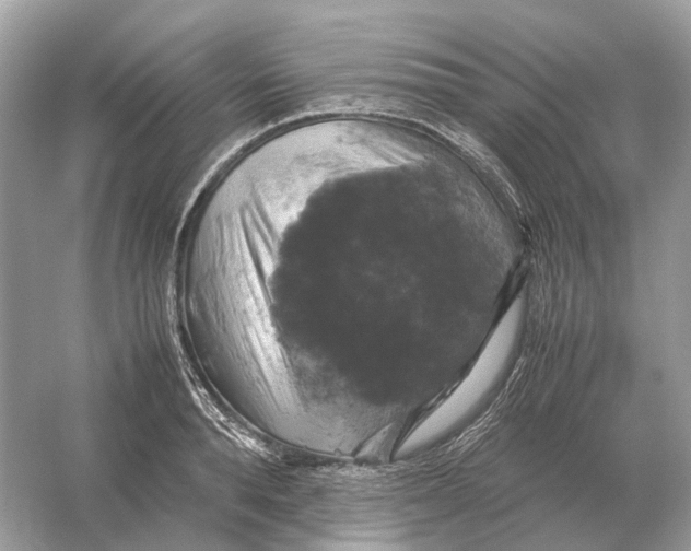 X0000054350896200508190125.png