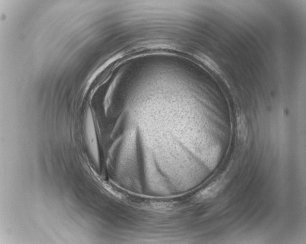 X0000055070782200508232328.png
