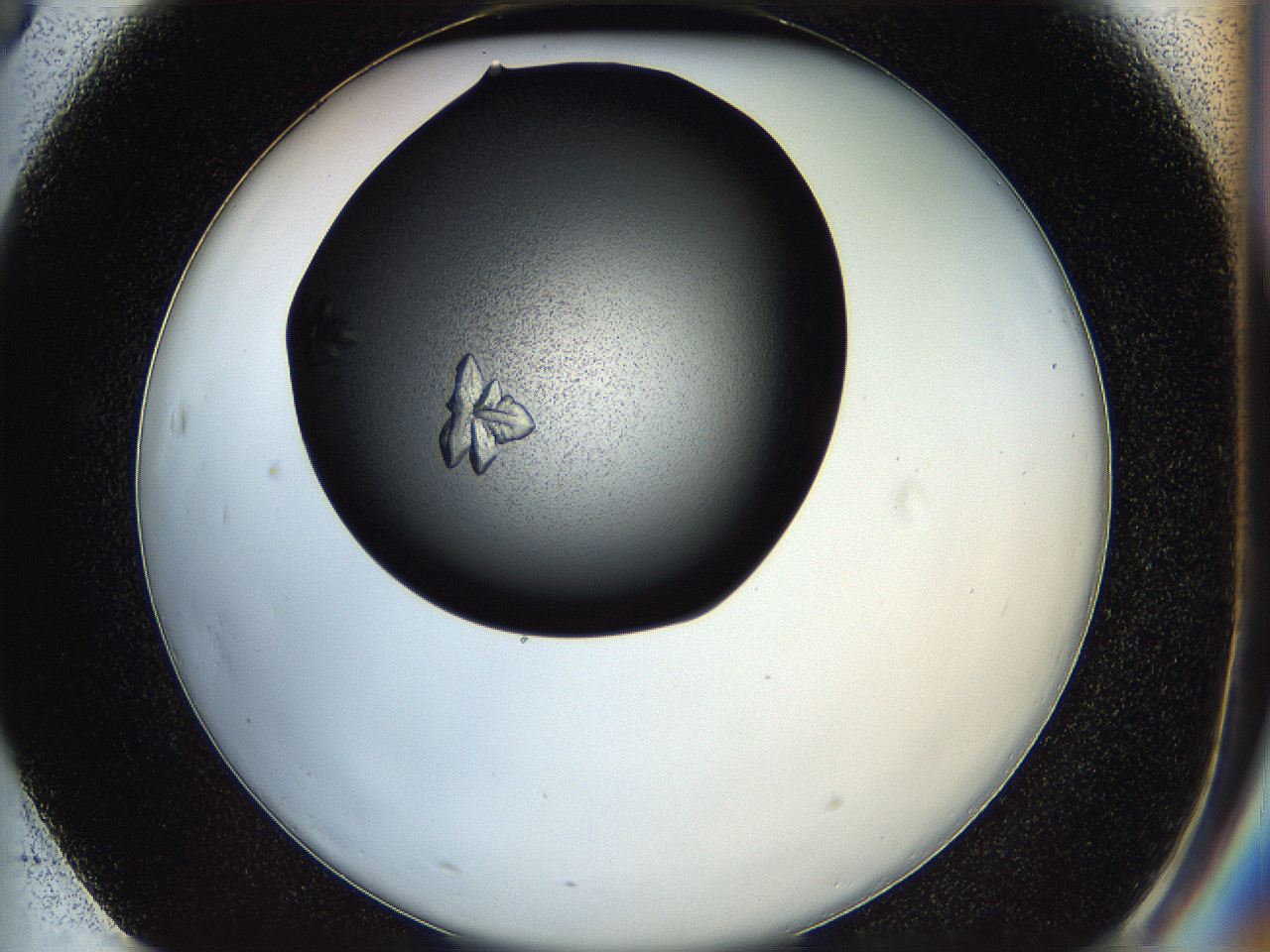 05hd_F3_ImagerDefaults_7.jpg