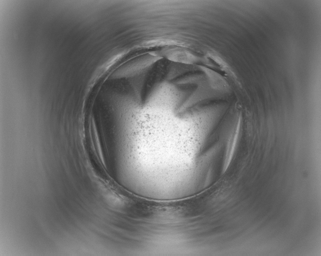 X0000054300486200508042314.png