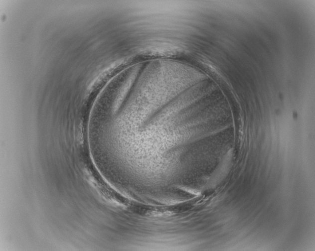 X0000055070403200508232334.png