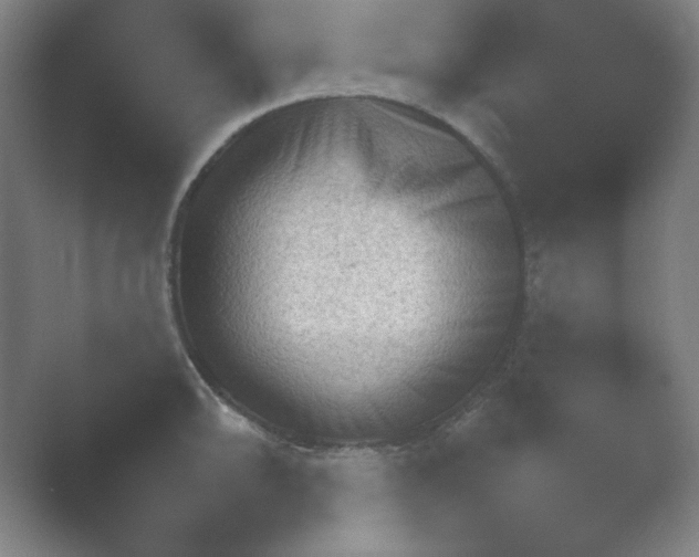 X0000054971094200509051457.png