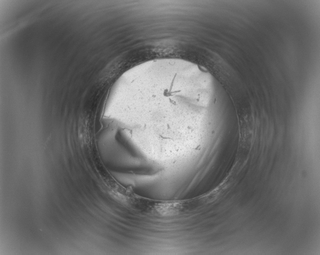 X0000055060136200508161655.png