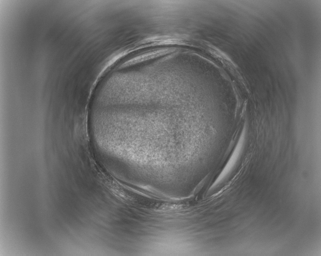 X0000054301174200508042302.png