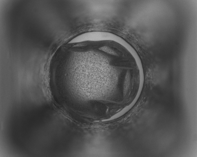X0000045460290200502081426.png
