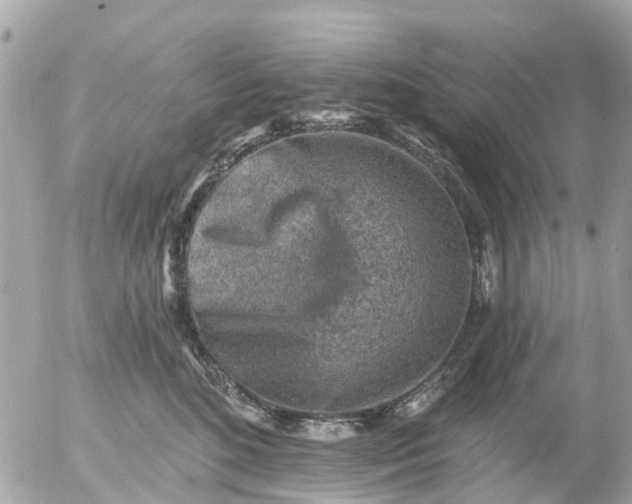 X0000055070520200508232332.png