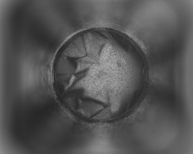X0000045460886200502081416.png