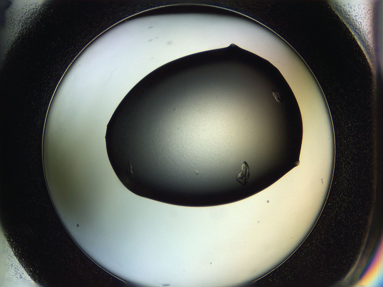 05hd_G4_ImagerDefaults_7.jpg