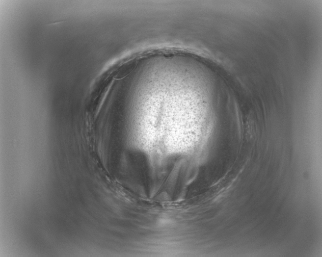 X0000054301494200508042256.png