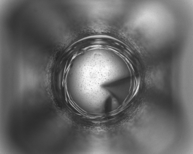 X0000046380402200502141050.png