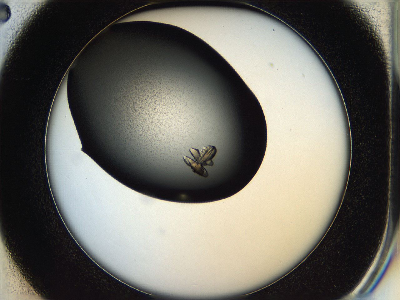 05hd_C2_ImagerDefaults_8.jpg