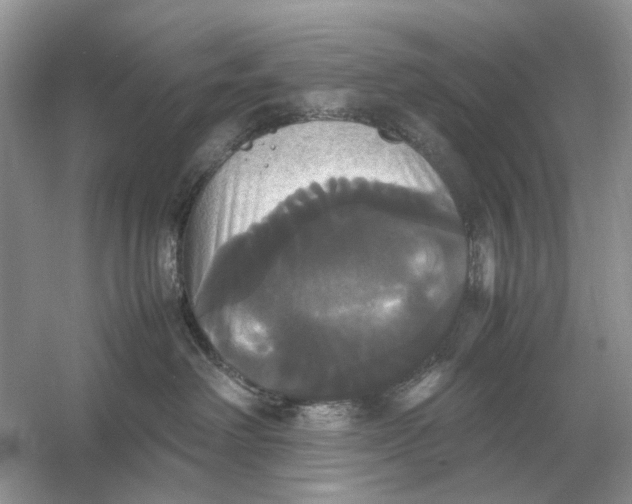 X0000054350238200508190136.png