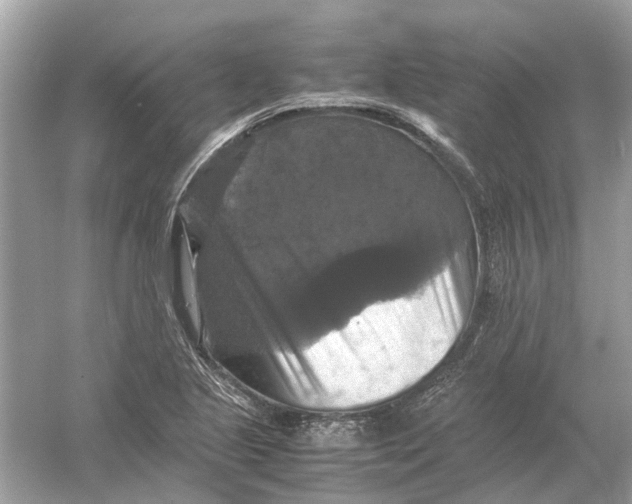 X0000054351221200508190119.png