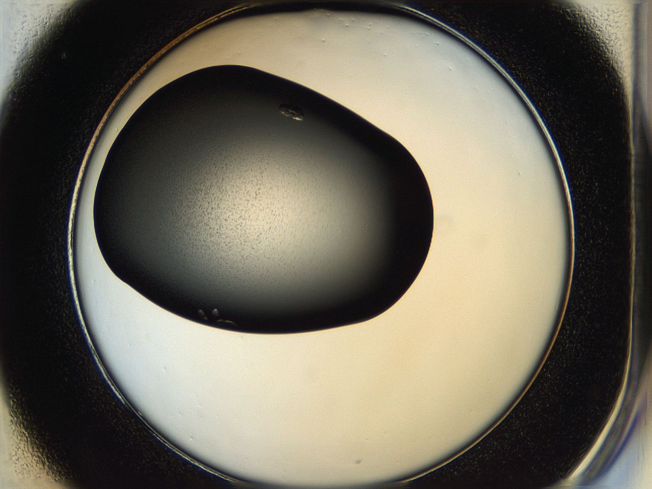 05hd_C1_ImagerDefaults_7.jpg