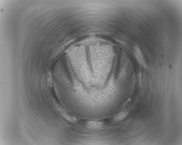 X0000055070234200508232337.png