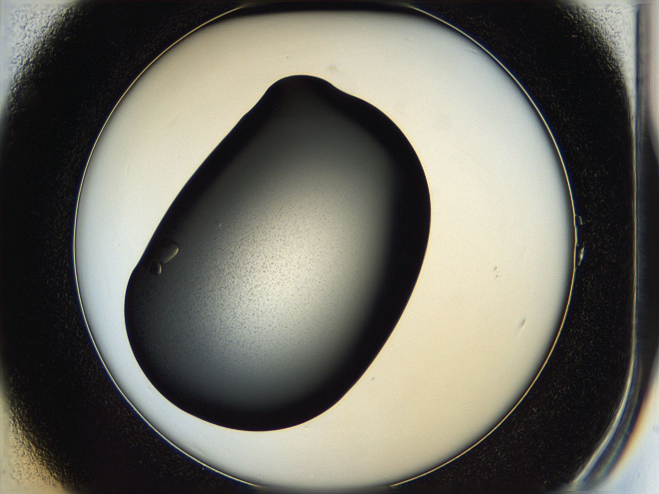 05hd_A1_ImagerDefaults_7.jpg