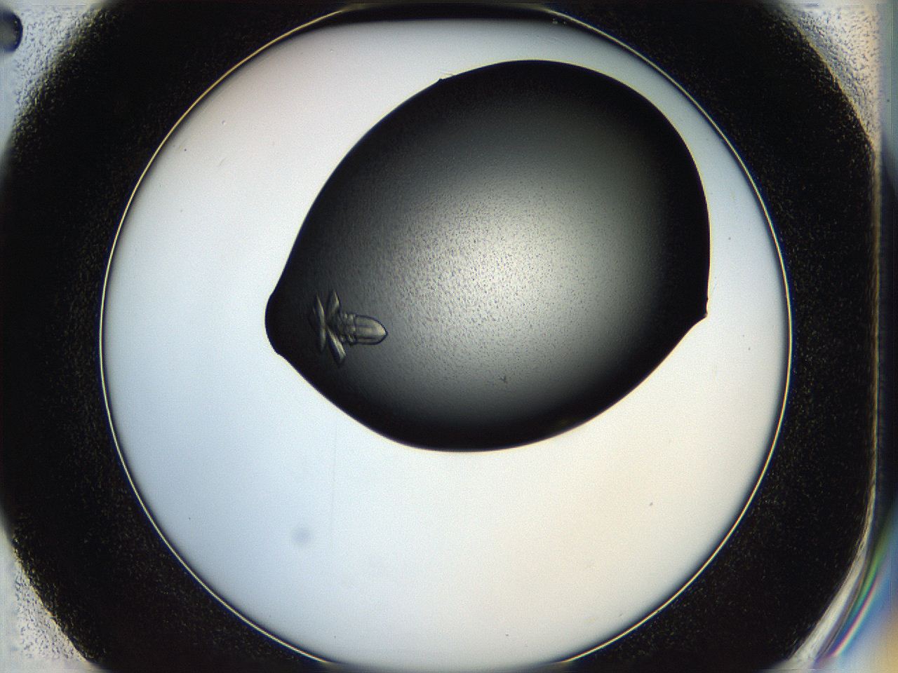 05hd_E2_ImagerDefaults_7.jpg