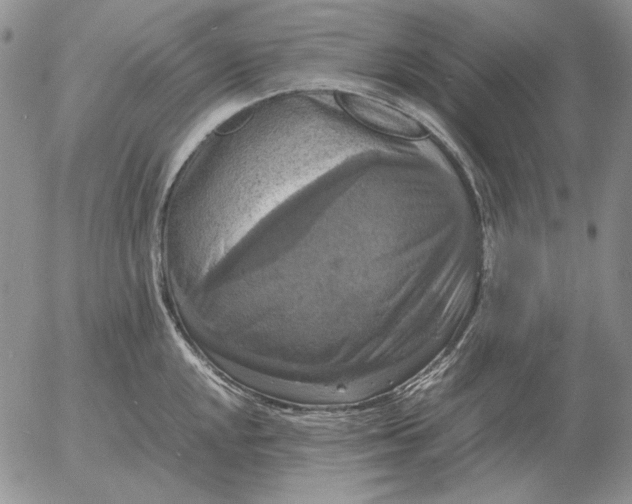 X0000054171048200508101754.png