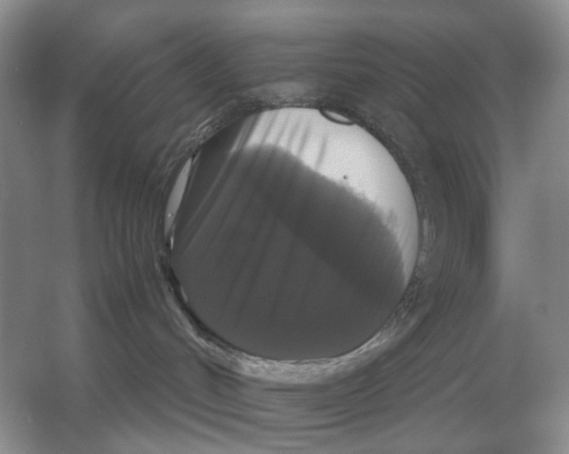 X0000054350048200508190139.png