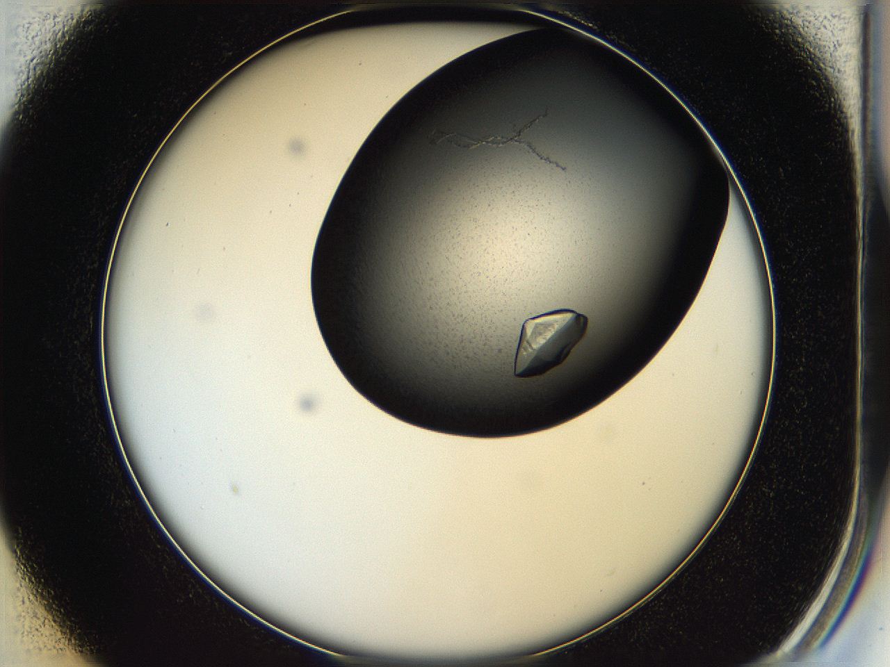 05hd_B1_ImagerDefaults_9.jpg