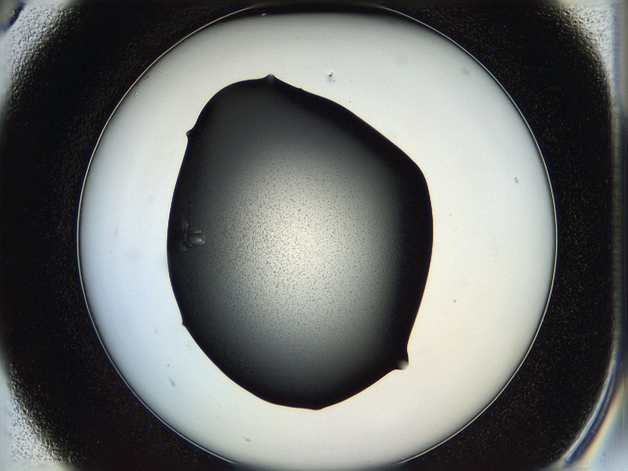 05hd_A5_ImagerDefaults_7.jpg