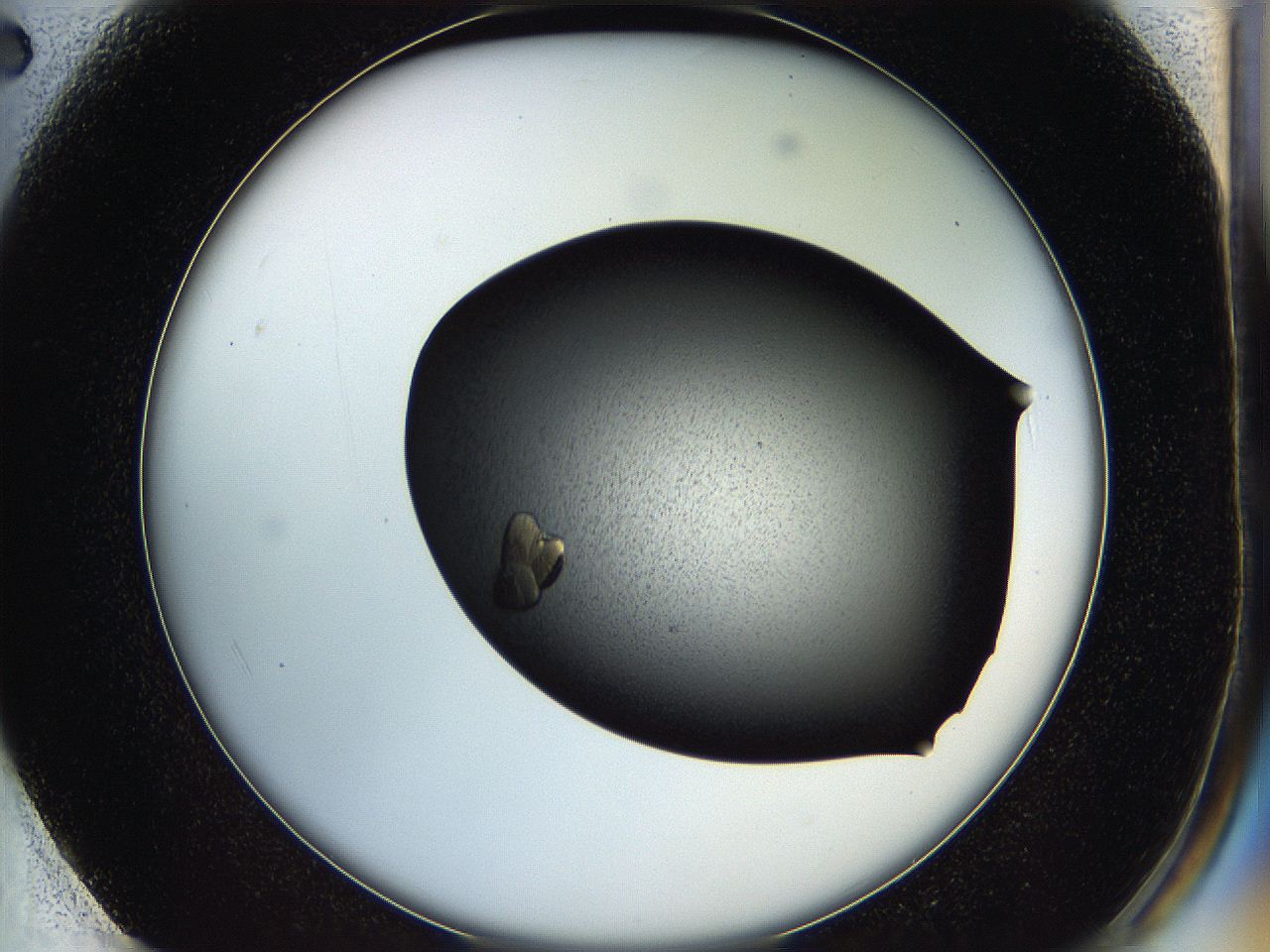 05he_F2_ImagerDefaults_7.jpg