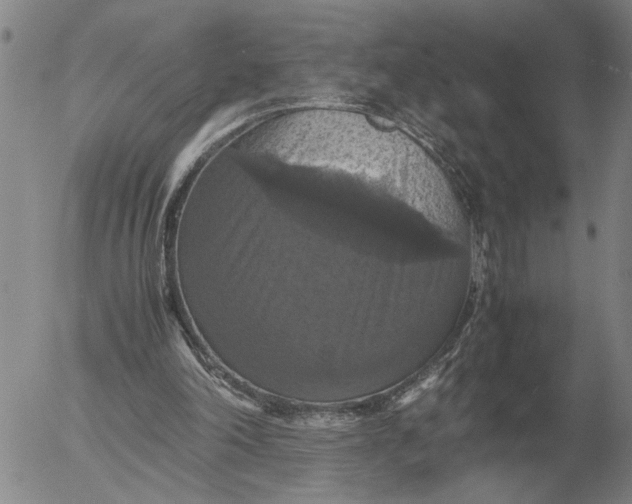 X0000054170198200508101808.png