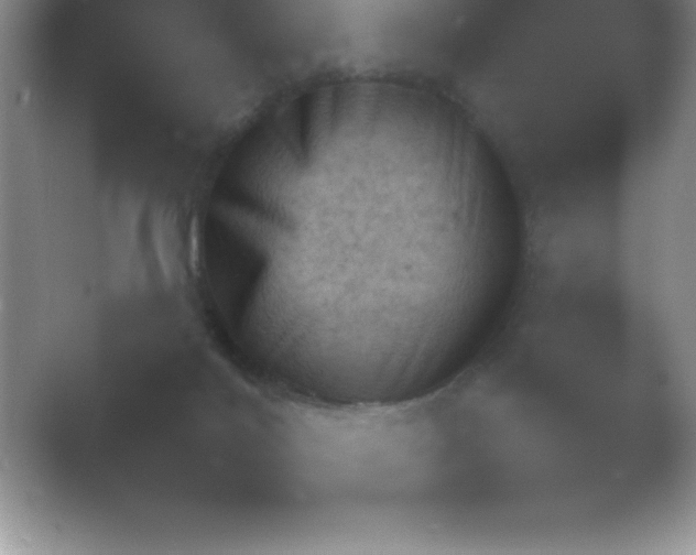 X0000054730028200508171903.png