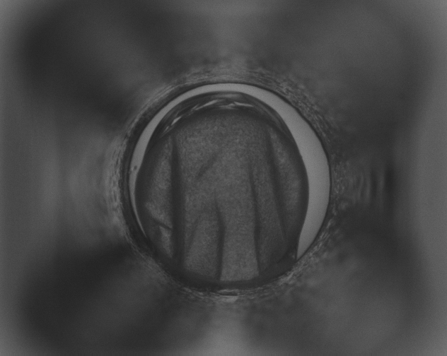 X0000044230054200501101648.png