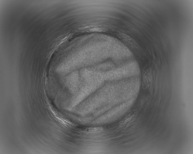 X0000055210398200508301327.png