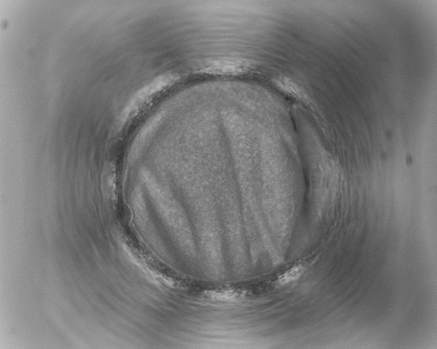 X0000055070688200508232329.png