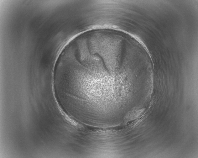 X0000054300895200508042307.png
