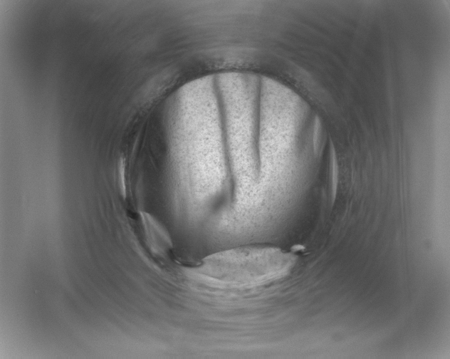 X0000054300022200508042322.png